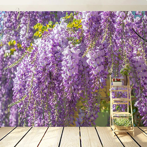 Image of 44401239654637|44401239687405|44401239720173|44401239752941|44401239785709|44401239818477|44401239851245