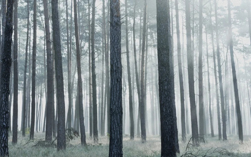 46041266847981|46041266979053|46041267011821|46041267044589|46041267077357|46041267208429|46041269207277