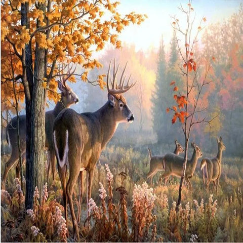 Image of Lovely Deer in a Meadow Wallpaper Mural, Custom Sizes Available