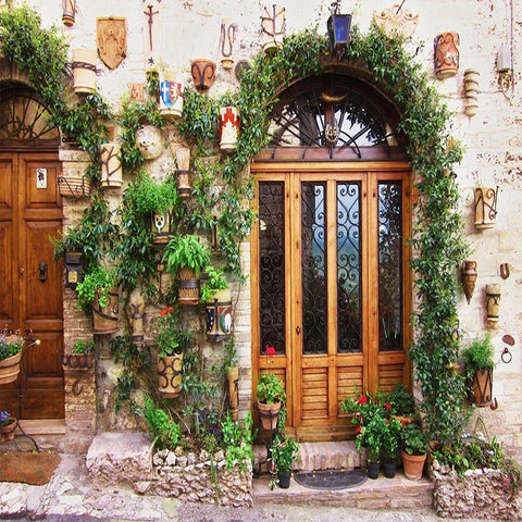 Image of Beautifully Lush Plant Covered Entrance Wallpaper Mural, Custom Sizes Available