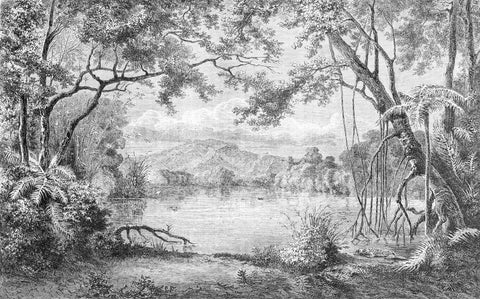 Image of Beautiful European Pastoral Wallpaper Mural, Custom Sizes Available