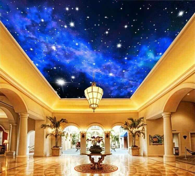 Starry Night Sky Ceiling Mural, Custom Sizes Available
