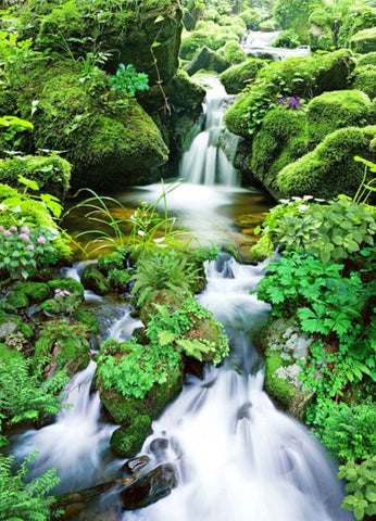 Image of Mossy Creek Stream Self Adhesive Floor Mural, Custom Sizes Available