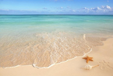 Image of Sandy Beach With Shells Self Adhesive Floor Mural, Custom Sizes Available