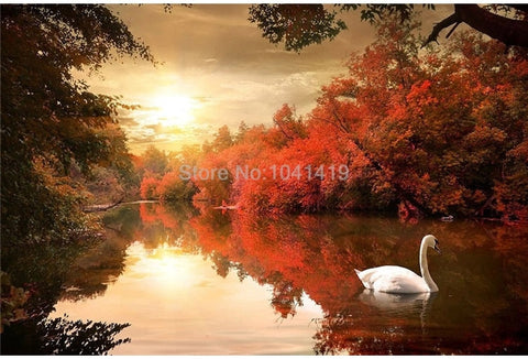 Image of Autumn Dusk on Swan Lake Wallpaper Mural, Custom Sizes Available Maughon's