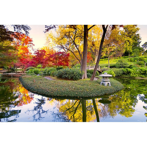 Image of Autumn In The Park Wallpaper Mural, Custom Sizes Available Wall Murals Maughon's