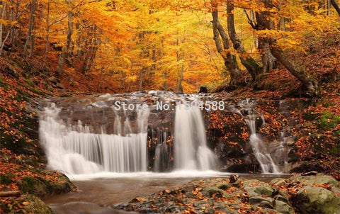Image of Beautiful Autumn Forest Waterfall Wallpaper Mural, Custom Sizes Available Maughon's