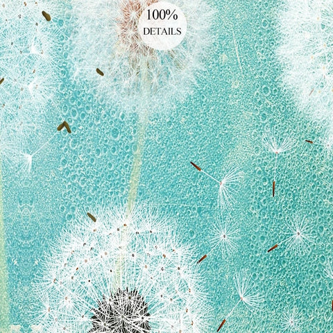 Image of Beautiful Dandelions Dispersing Seed Wallpaper Mural, Custom Sizes Available Wall Murals Maughon's