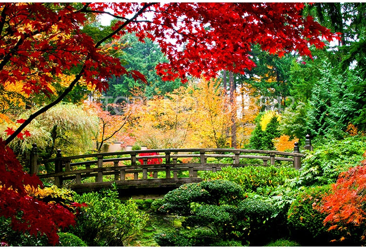 Beautiful Lush Autumn Garden Wallpaper Mural, Custom Sizes Available Maughon's