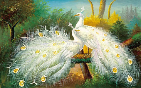 Image of Beautiful White Peacocks Wallpaper Mural, Custom Sizes Available Wall Murals Maughon's