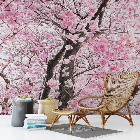 Image of Cherry Blossom, Sunshine Wallpaper Mural, Custom Sizes Available Household-Wallpaper Maughon's