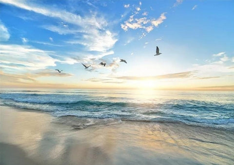 Image of Beach and Seagulls Wallpaper Mural, Custom Sizes Available