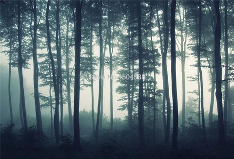 Image of Foggy Forest Wallpaper Mural, Custom Sizes Available Maughon's