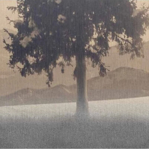 Image of Foggy Morning Landscape Wallpaper Mural, Custom Sizes Available Wall Murals Maughon's