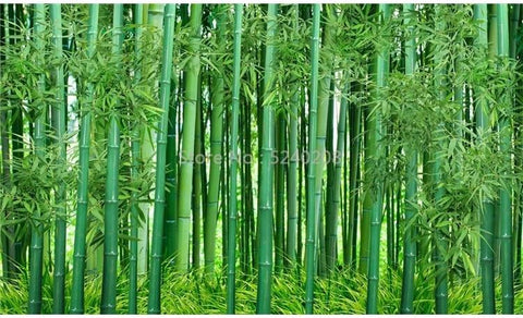 Image of Green Bamboo Forest Landscape Wallpaper Mural, Custom Sizes Available Household-Wallpaper Maughon's