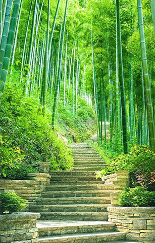 Image of Green Bamboo Forest Trail Vertical Wallpaper Mural, Custom Sizes Available Wall Murals Maughon's