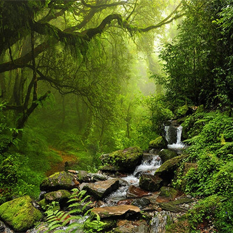 Image of Jungle Mountain Stream Wallpaper Mural, Custom Sizes Available Wall Murals Maughon's