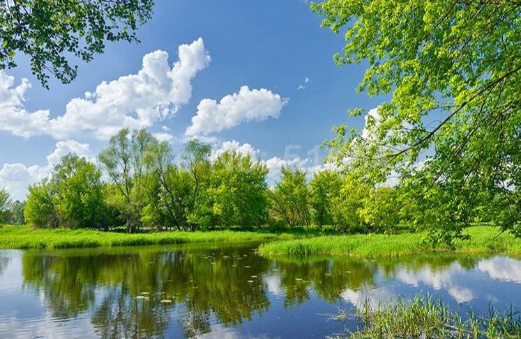 Lake Scenery Wallpaper Mural, Custom Sizes Available Maughon's