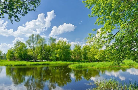 Image of Lake Scenery Wallpaper Mural, Custom Sizes Available Maughon's
