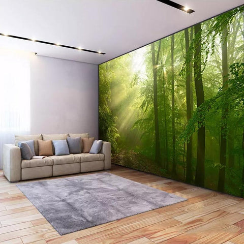 Image of Morning Sunshine Through Forest Wallpaper Mural, Custom Sizes Available Maughon's