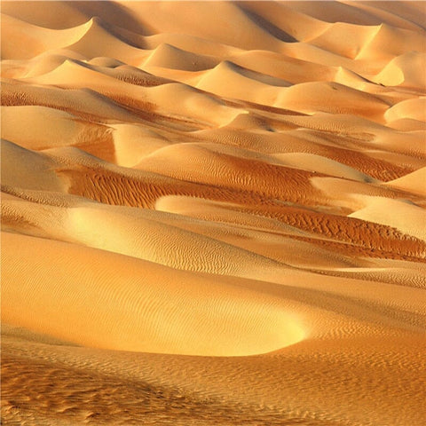 Image of Orange Desert Dunes Wallpaper Mural, Custom Sizes Available Wall Murals Maughon's