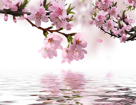 Image of Peach Blossom And Reflection Wallpaper Mural, Custom Sizes Available