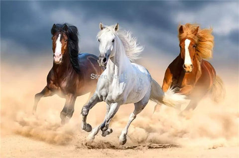 Image of Running Horses Wallpaper Mural, Custom Sizes Available Maughon's