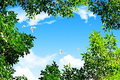 Image of Self adhesive Waterfalls and Sky Bathroom Murals, Custom Sizes Available Wall Murals Maughon's B