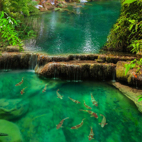 Image of Self adhesive Waterfalls and Sky Bathroom Murals, Custom Sizes Available Wall Murals Maughon's C