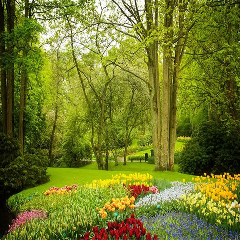 Image of Serene Landscape with flowers Wallpaper Mural, Custom Sizes Available Maughon's