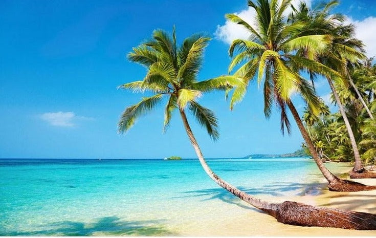Sunshine Sea Water Beach Coconut Tree Wallpaper Mural, Custom Sizes Available