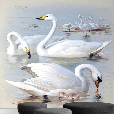 Image of Swans Lake Scenery Wallpaper Mural, Custom Sizes Available Wall Murals Maughon's