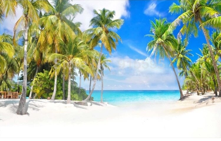 Tropical Beach Paradise With Coconut Trees Wallpaper Mural, Custom Sizes Available Wall Murals Maughon's