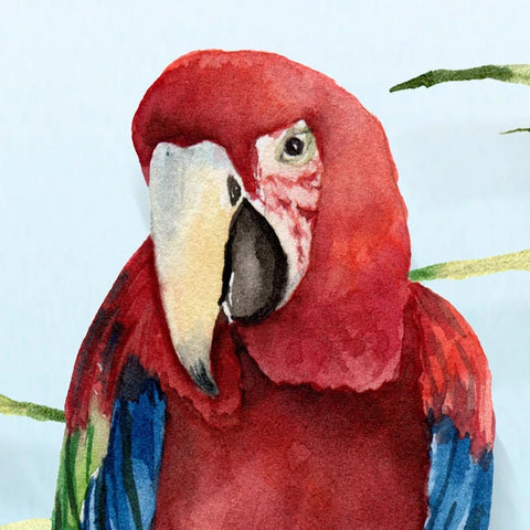 Image of Tropical Birds and Plants Wallpaper Mural, Custom Sizes Available Wall Murals Maughon's