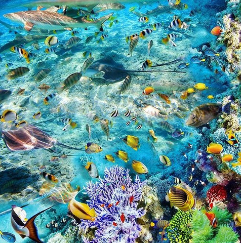 Image of Underwater World Tropical Fish Coral Vinyl PVC Floor Mural, Self Adhesive, Custom Sizes Available Household-Wallpaper-Floor Maughon's