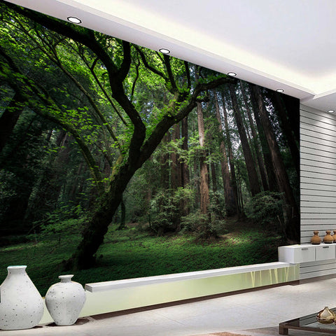Image of Virgin Forest Landscape Wallpaper Mural, Custom Sizes Available Wall Murals Maughon's