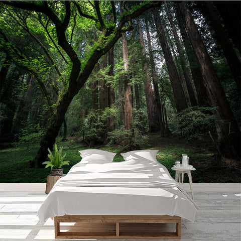 Image of Virgin Forest Landscape Wallpaper Mural, Custom Sizes Available Wall Murals Maughon's