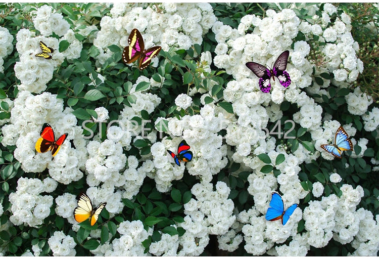 White Roses and Butterflies Wallpaper Mural, Custom Sizes Available Wall Murals Maughon's