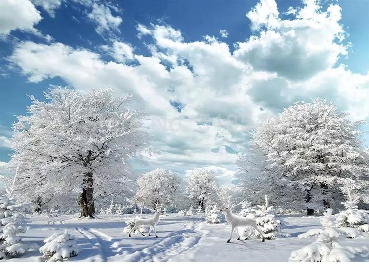 Winter Scene With White Clouds and Blue Sky Wallpaper Mural, Custom Sizes Available Maughon's