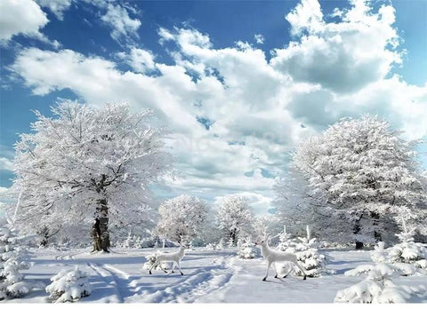 Image of Winter Scene With White Clouds and Blue Sky Wallpaper Mural, Custom Sizes Available Maughon's