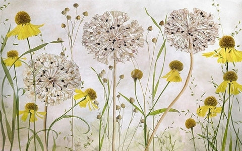 Image of Hand Painted Dandelions and Coneflowers Wallpaper Mural, Custom Sizes Available