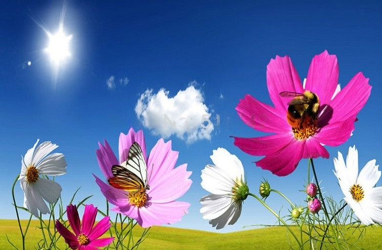 Sunny Field of Cosmos Wallpaper Mural, Custom Sizes Available