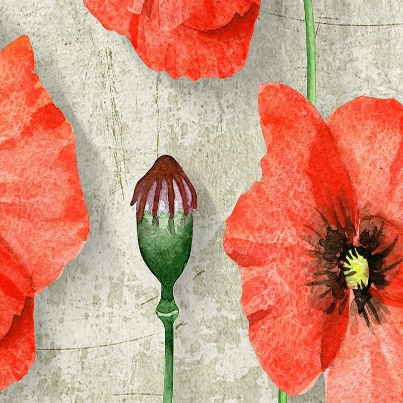 Beautiful Red Poppies With Gray Background Wallpaper Mural, Custom Sizes Available