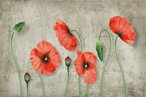 Image of Beautiful Red Poppies With Gray Background Wallpaper Mural, Custom Sizes Available