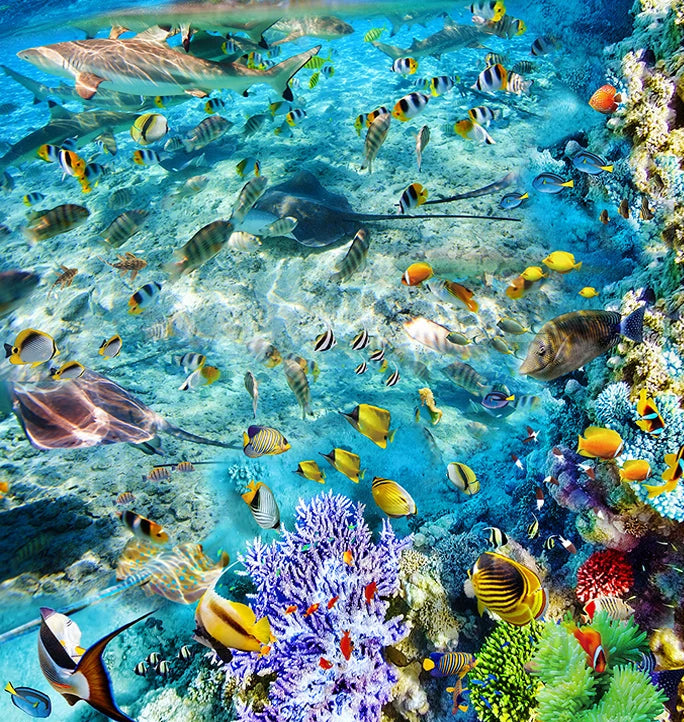 Stunning Ocean Reef Floor Mural, Custom Sizes Available