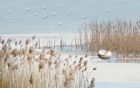 Image of Calming Sea Grass Wallpaper Murals, Custom Sizes Available