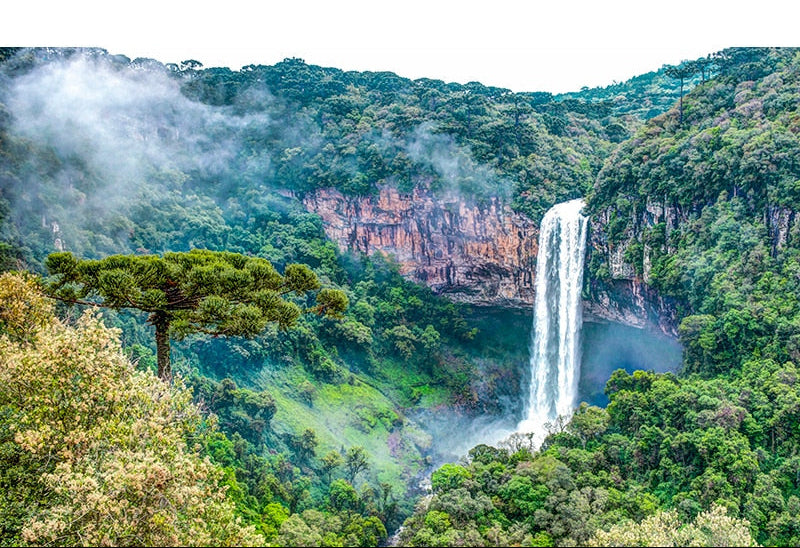 Amazing Waterfall and Forest Landscape Wallpaper Mural, Custom Sizes Available