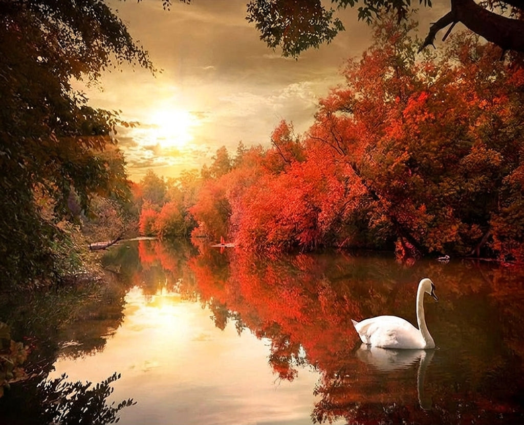 Autumn Dusk on Swan Lake Wallpaper Mural, Custom Sizes Available