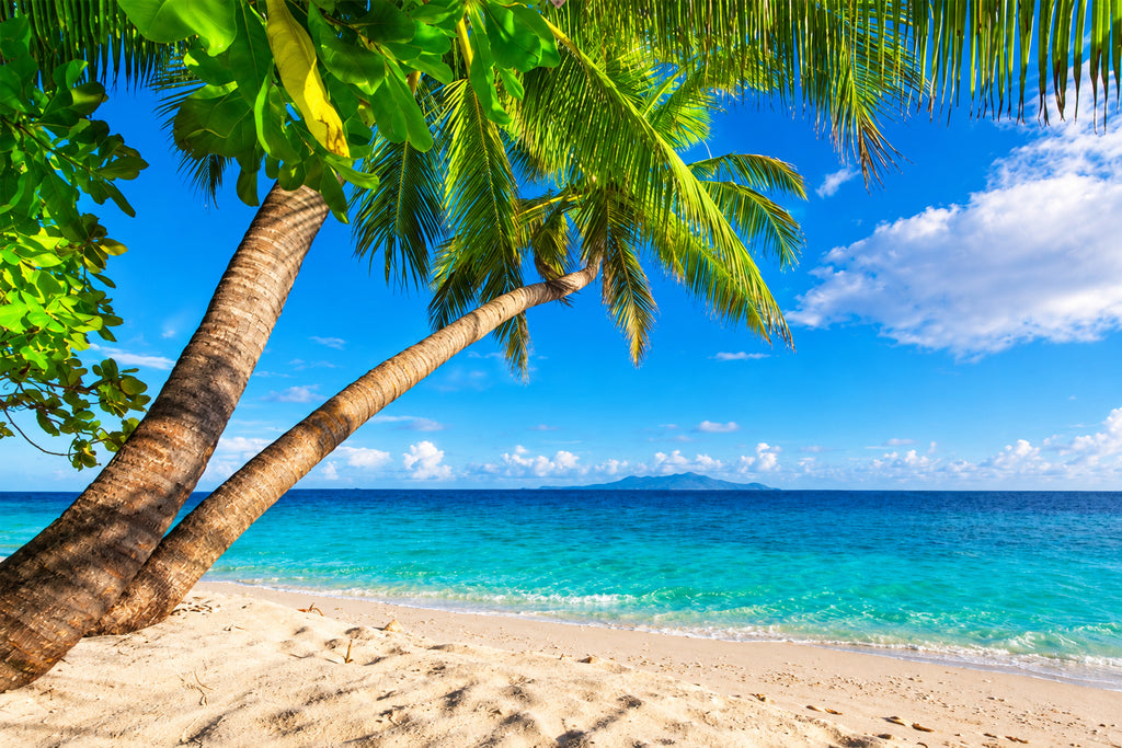 Awesome Beach With Coconut Tree Self Adhesive Bathroom Mural, 
Custom Sizes Available