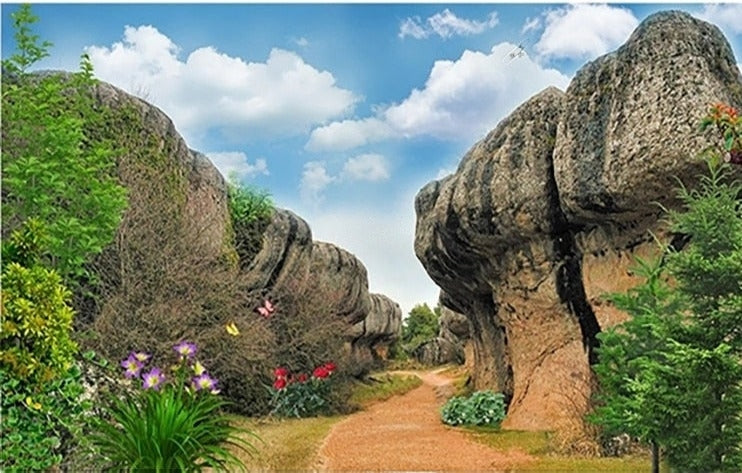 Boulder Path Wallpaper Mural, Custom Sizes Available